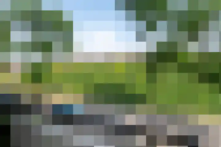 Laan van de Vrede 18 Groningen thumbnail 17