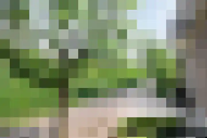 Laan van de Vrede 18 Groningen thumbnail 18