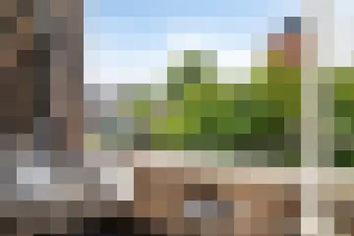 Laan van de Vrede 18 Groningen thumbnail 21