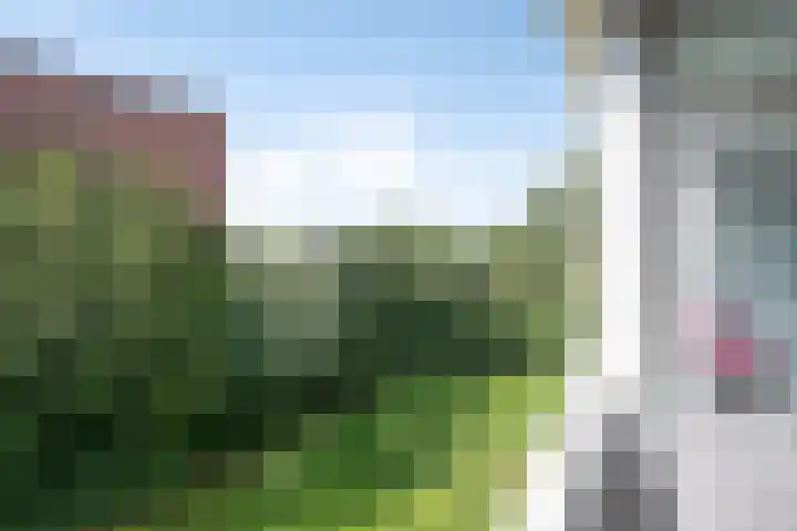 Laan van de Vrede 18 Groningen thumbnail 22