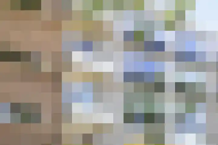 Laan van de Vrede 18 Groningen thumbnail 4
