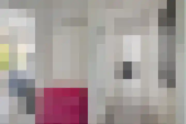 Laan van de Vrede 18 Groningen thumbnail 6