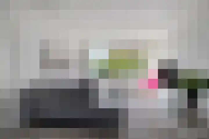Laan van de Vrede 18 Groningen thumbnail 9