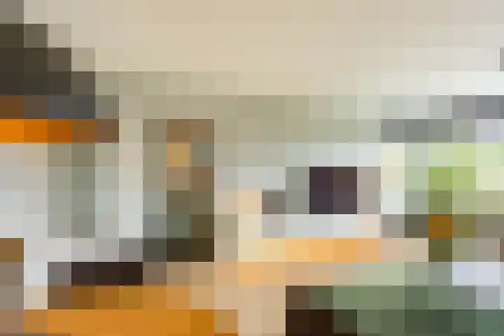 Laan van de Vrede 20 Groningen thumbnail 16