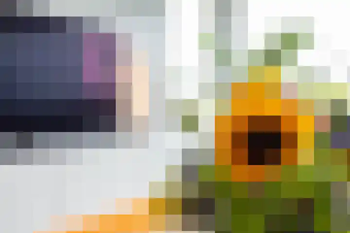 Laan van de Vrede 20 Groningen thumbnail 18