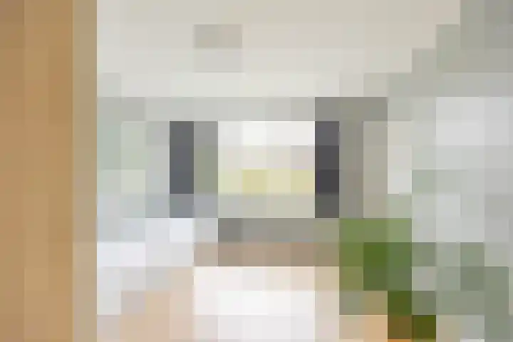 Laan van de Vrede 20 Groningen thumbnail 20