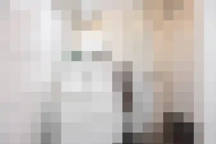 Laan van de Vrede 20 Groningen thumbnail 22