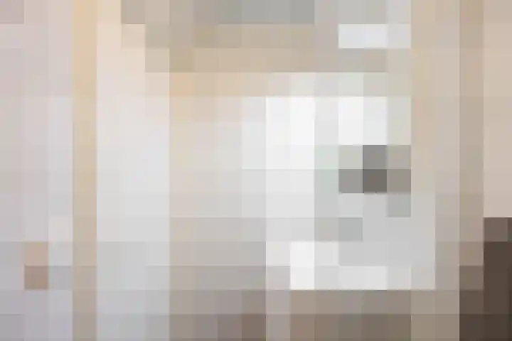 Laan van de Vrede 20 Groningen thumbnail 24