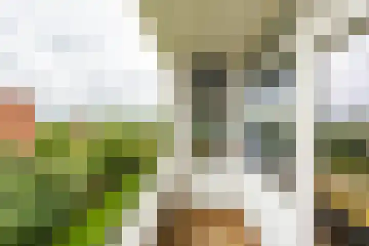Laan van de Vrede 20 Groningen thumbnail 30