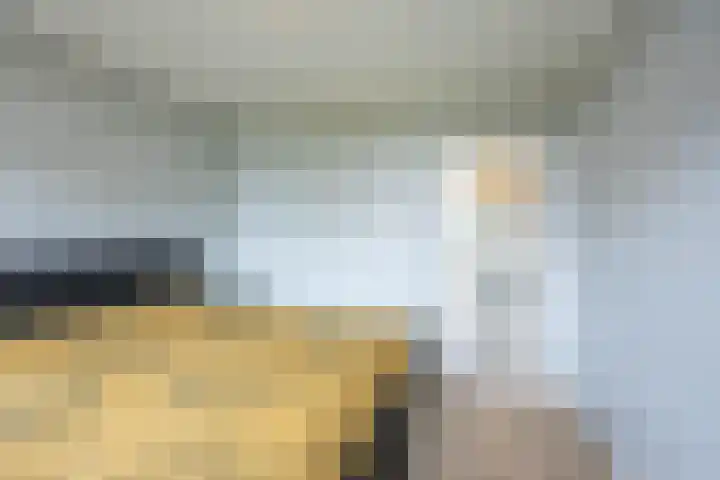 Laan van de Vrede 20 Groningen thumbnail 31