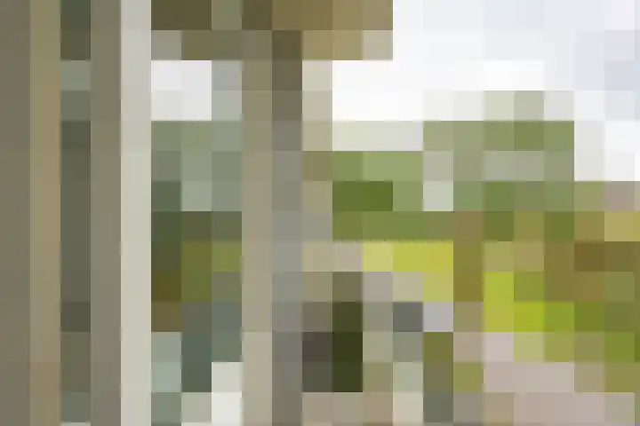 Laan van de Vrede 20 Groningen thumbnail 34