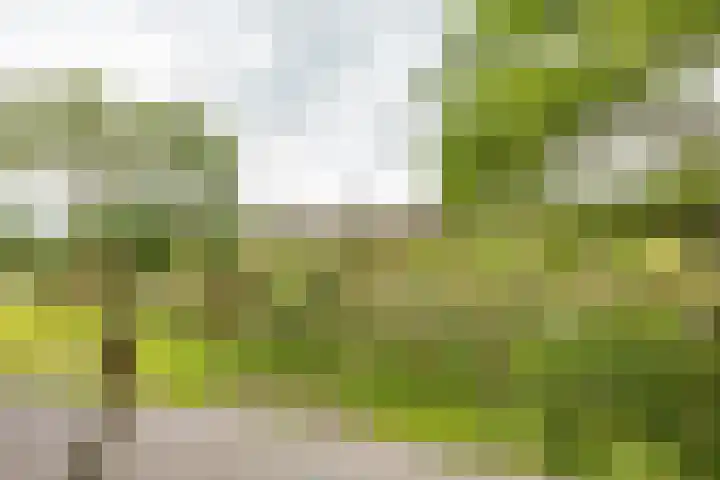 Laan van de Vrede 20 Groningen thumbnail 35