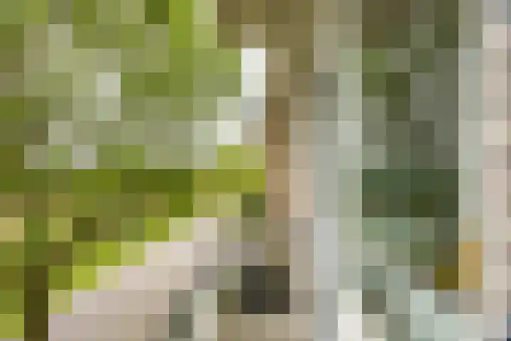 Laan van de Vrede 20 Groningen thumbnail 36