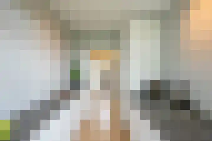 Laan van de Vrede 20 Groningen thumbnail 37