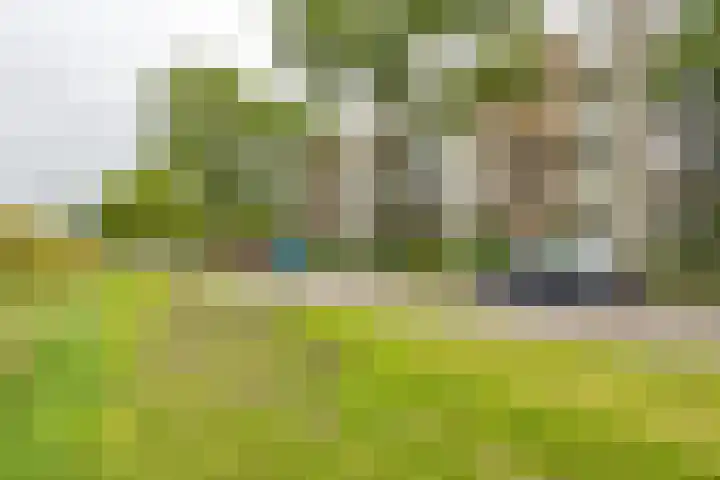 Laan van de Vrede 20 Groningen thumbnail 5