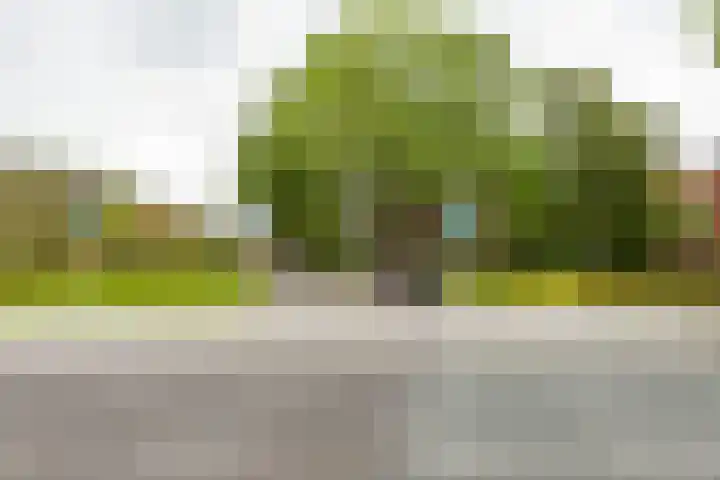 Laan van de Vrede 20 Groningen thumbnail 6