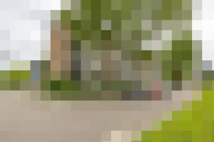 Laan van de Vrede 20 Groningen thumbnail 7