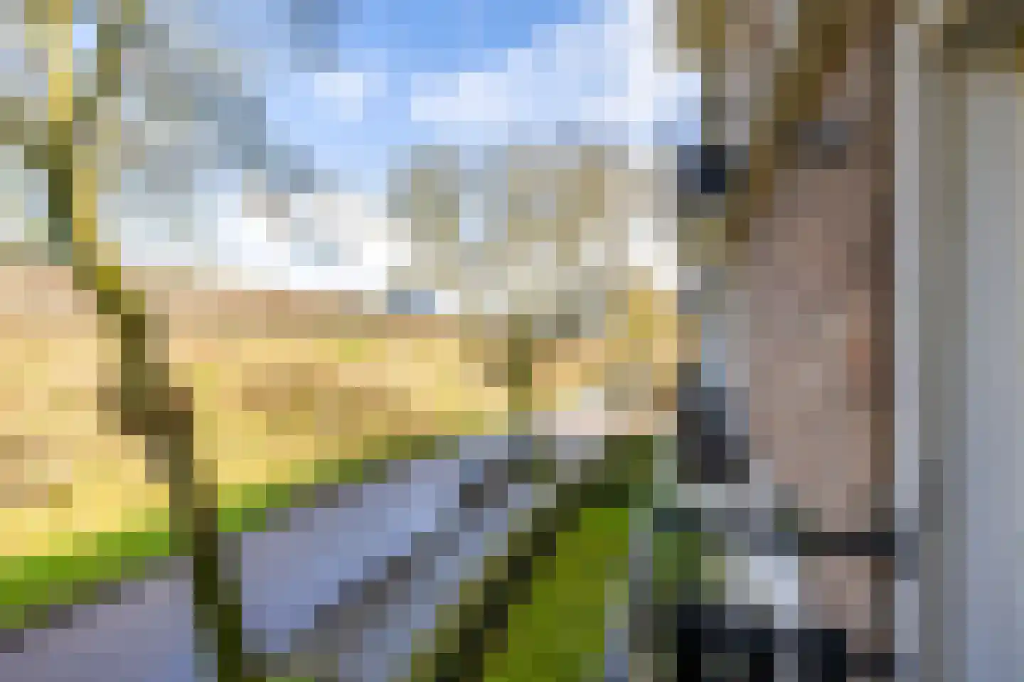 Laan van de Vrede 26 Groningen thumbnail 30