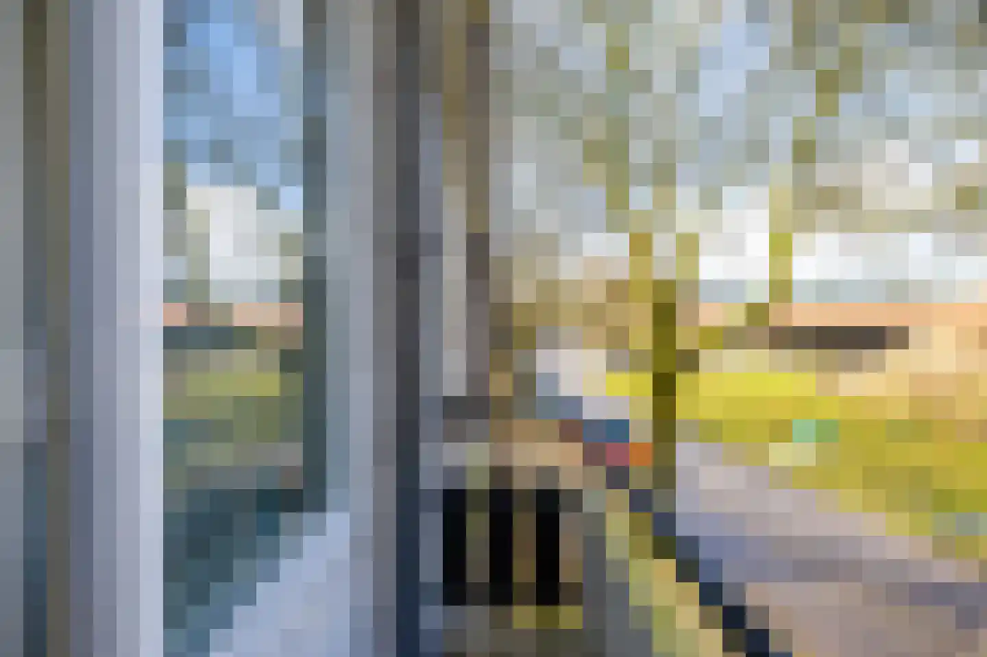 Laan van de Vrede 26 Groningen thumbnail 31