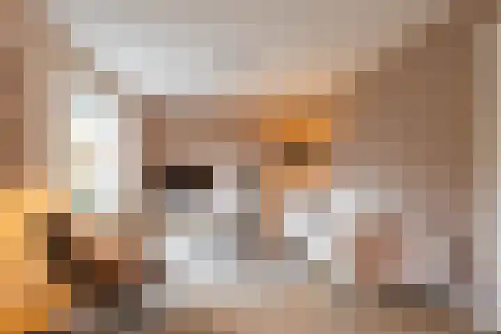 Laan van de Vrijheid 100 Groningen thumbnail 10