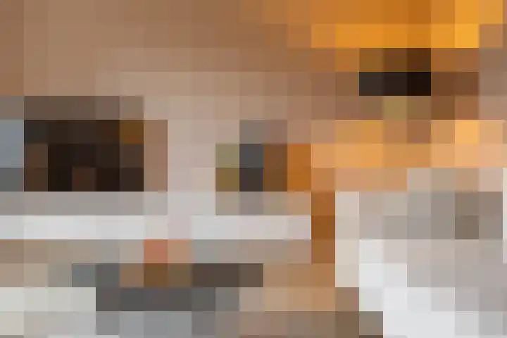 Laan van de Vrijheid 100 Groningen thumbnail 12