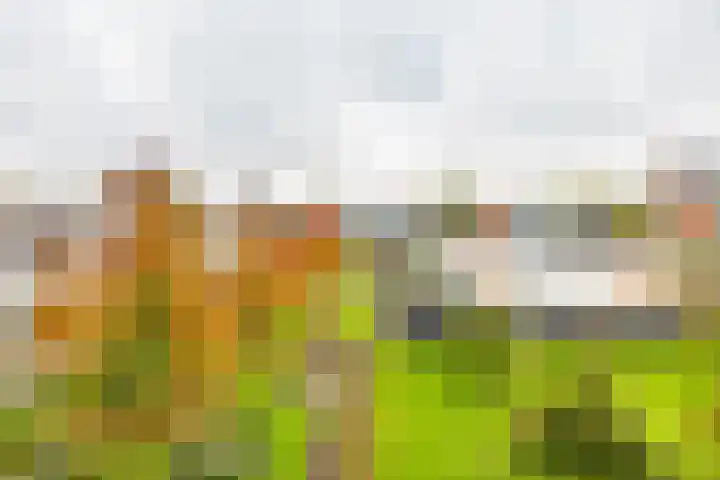 Laan van de Vrijheid 100 Groningen thumbnail 30