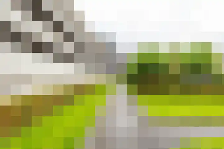 Laan van de Vrijheid 100 Groningen thumbnail 34