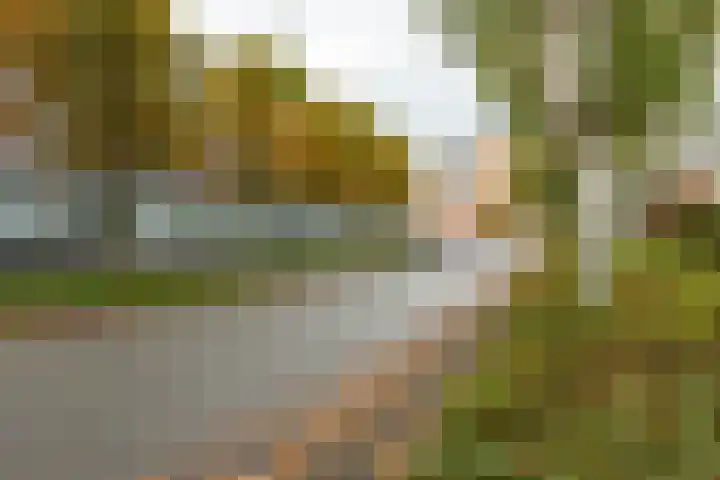 Laan van de Vrijheid 100 Groningen thumbnail 35