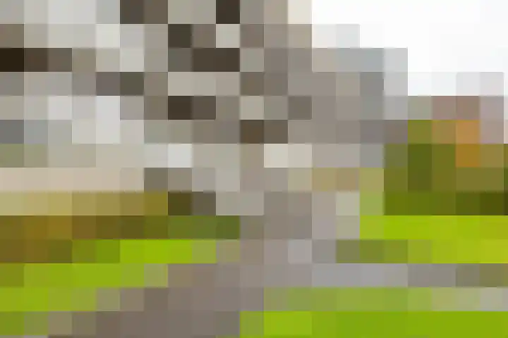 Laan van de Vrijheid 100 Groningen thumbnail 4