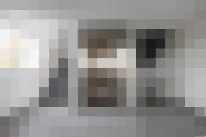 Laan van de Vrijheid 100 Groningen thumbnail 6