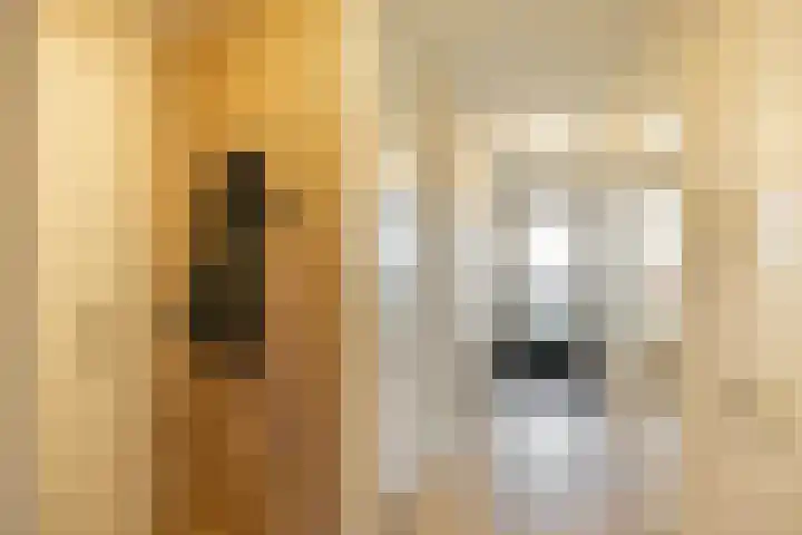 Laan van de Vrijheid 100 Groningen thumbnail 9