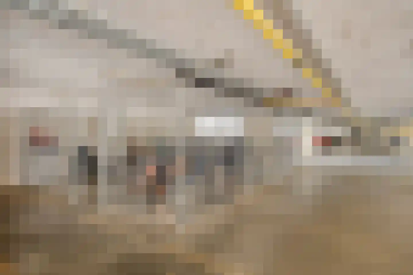 Laan van de Vrijheid 128 Groningen thumbnail 39