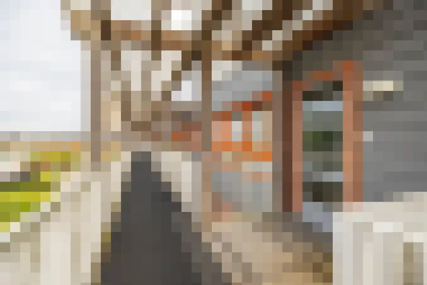 Laan van de Vrijheid 150 Groningen thumbnail 10