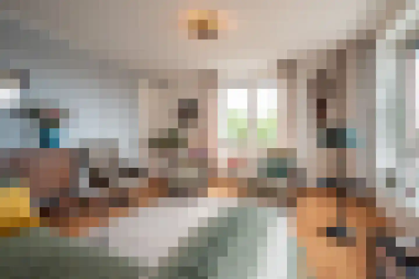 Laan van de Vrijheid 48 Groningen thumbnail 16