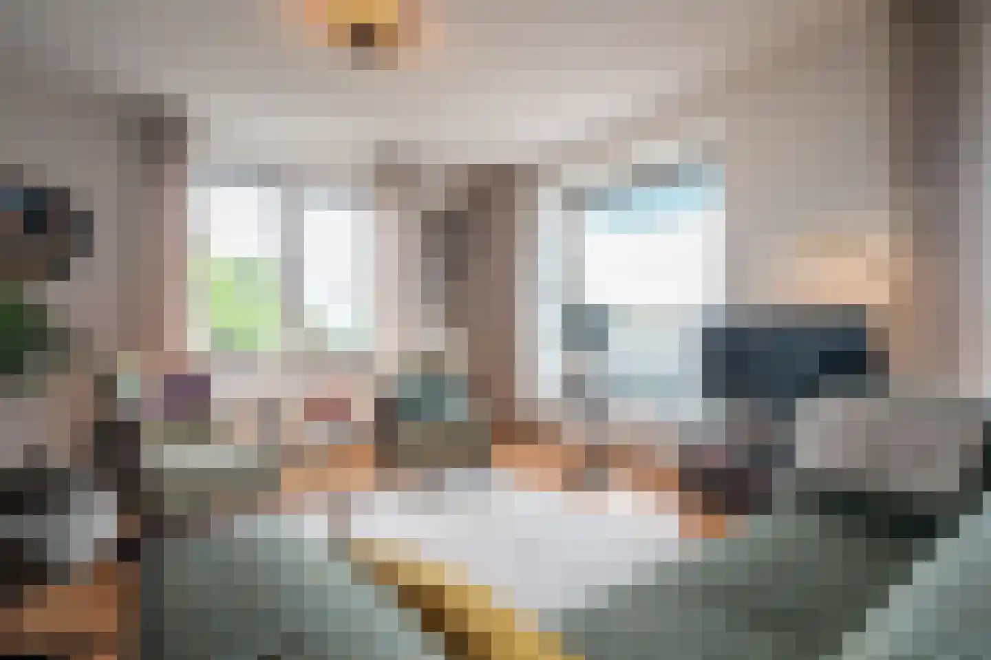 Laan van de Vrijheid 48 Groningen thumbnail 17