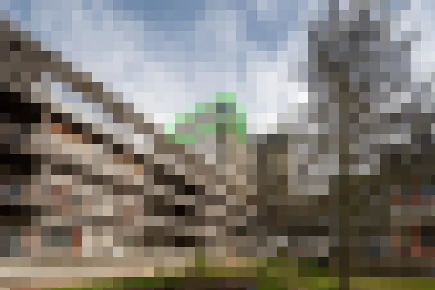 Laan van de Vrijheid 68 Groningen