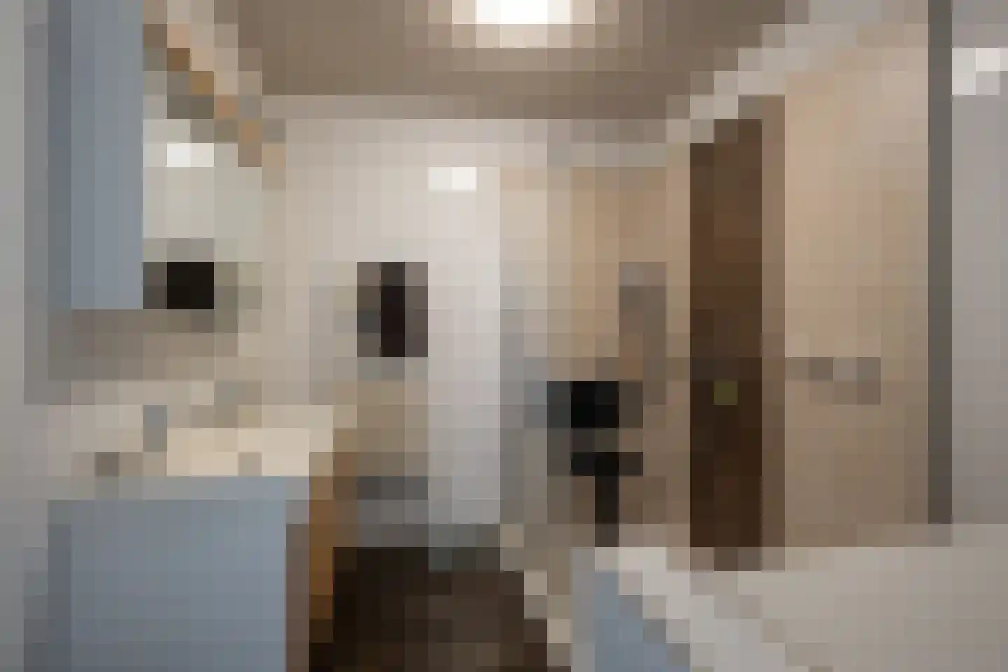 Laan van de Vrijheid 68 Groningen thumbnail 18