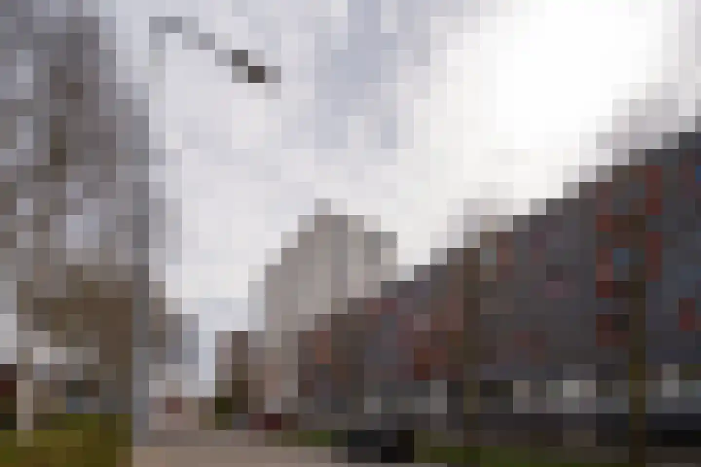 Laan van de Vrijheid 68 Groningen thumbnail 33