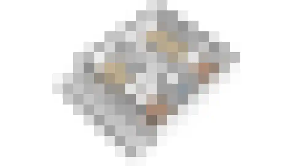 Laan van de Vrijheid 68 Groningen thumbnail 37