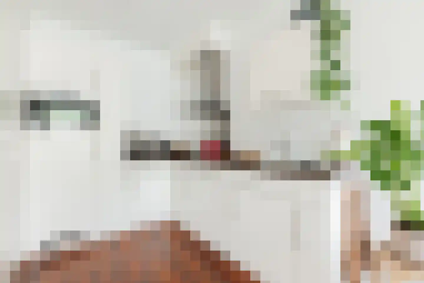 Laan van de Vrijheid 90 Groningen thumbnail 18