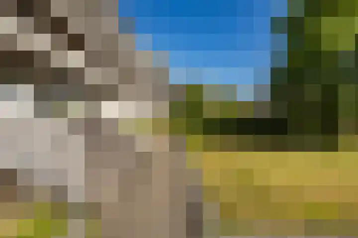 Laan van de Vrijheid 92 Groningen thumbnail 34