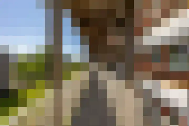 Laan van de Vrijheid 92 Groningen thumbnail 6