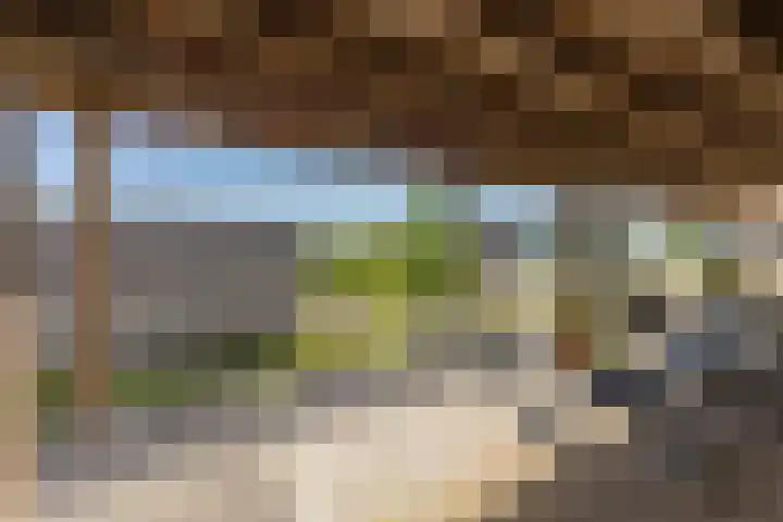 Laan van de Vrijheid 92 Groningen thumbnail 8