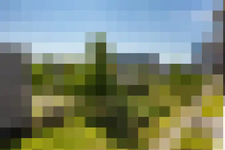 Laan van de Vrijheid 92 Groningen thumbnail 9