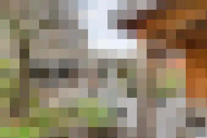 Laan van Delfland 11 Monster thumbnail 29