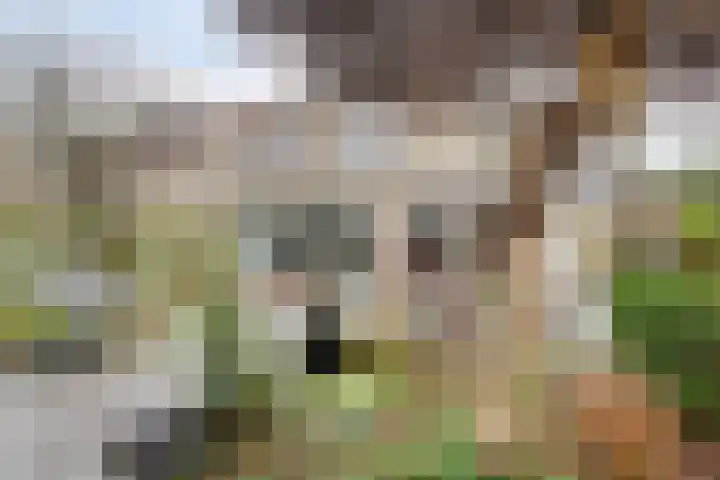 Laan van Delfland 11 Monster thumbnail 30