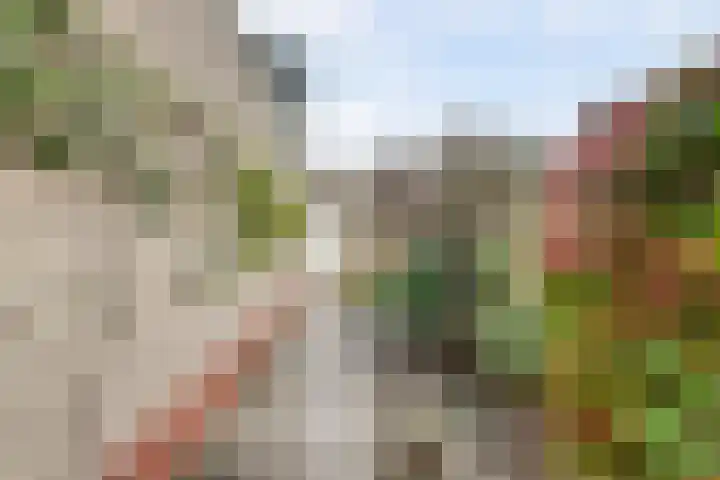 Laan van Delfland 11 Monster thumbnail 32