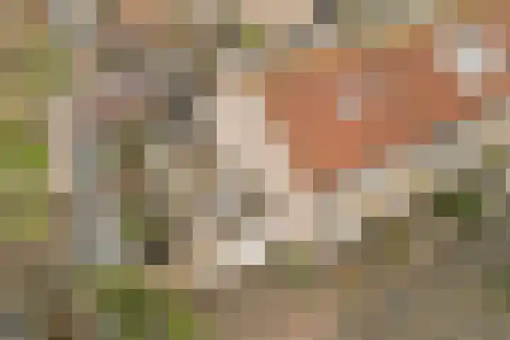 Laan van Delfland 11 Monster thumbnail 39