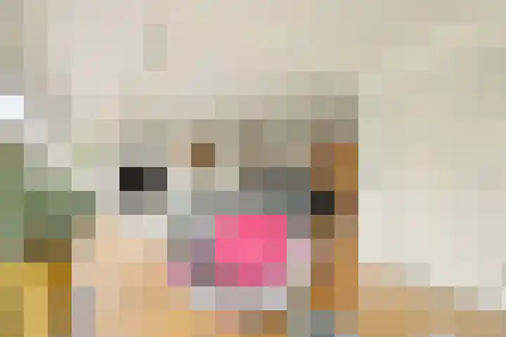 Laan van Delfland 11 Monster thumbnail 6