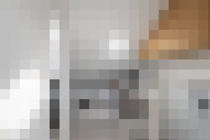 Laan van Delfland 26 Monster thumbnail 24